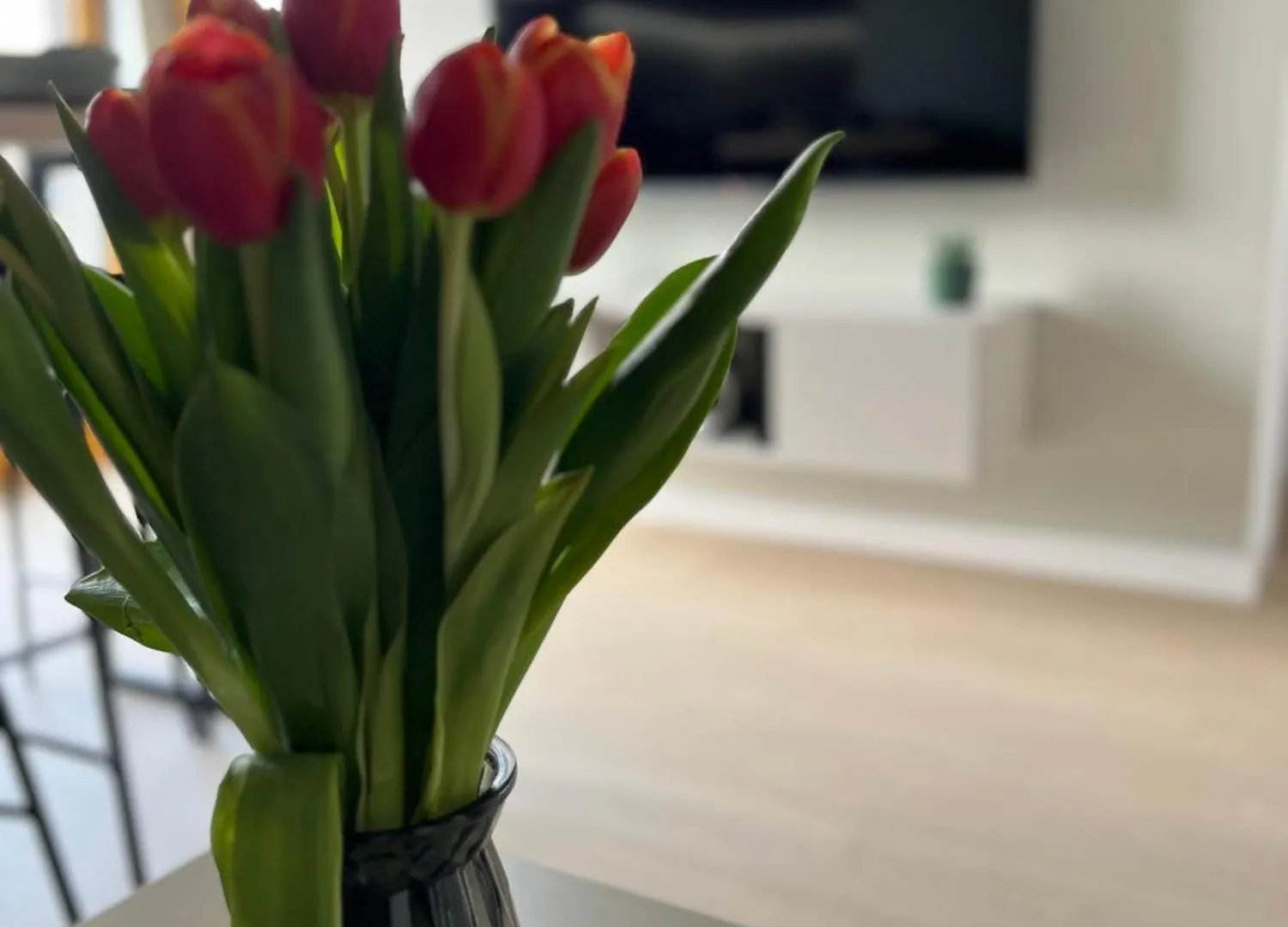 Tropical Novum Apartment - Krakow Old Town 0*,  Poland